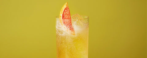 Seedlip switchel cocktail