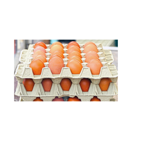 X Frenz Egg Tray 30Pk