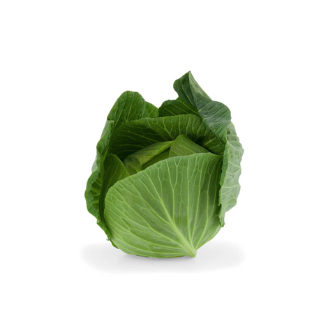 Cabbage - Green - Each