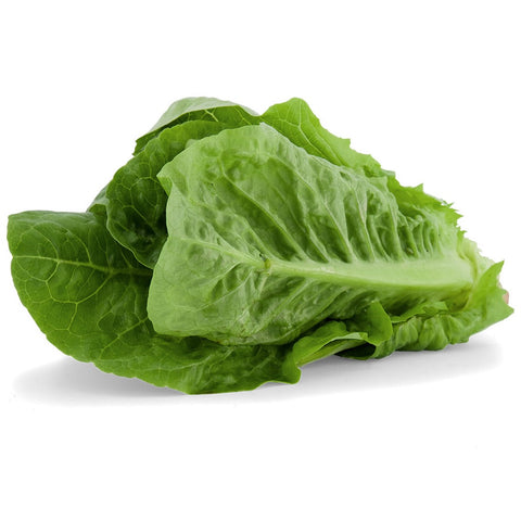 Lettuce - Green Cos - Each