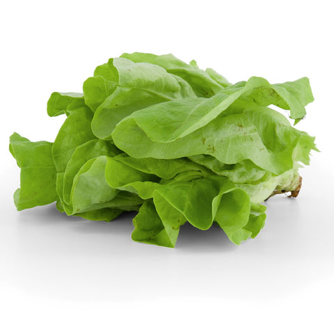 Lettuce - Green Oakleaf - Each