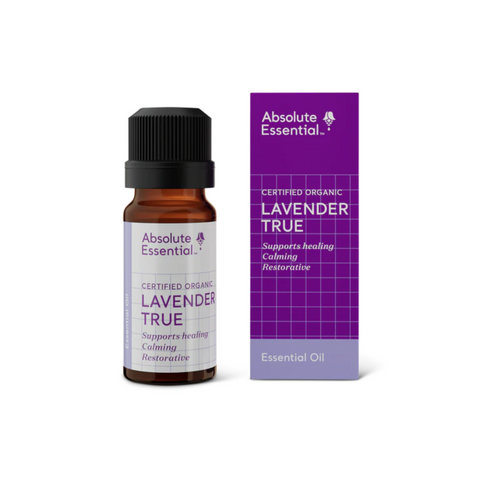 Absolute Essential Oil Lavender True 10ml