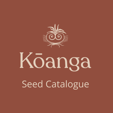 KOANGA Seeds - Arugula Wild Rocket